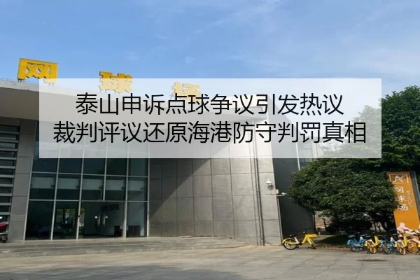泰山申诉点球争议引发热议 裁判评议还原海港防守判罚真相