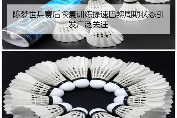 陈梦世乒赛后恢复训练提速巴黎周期状态引发广泛关注